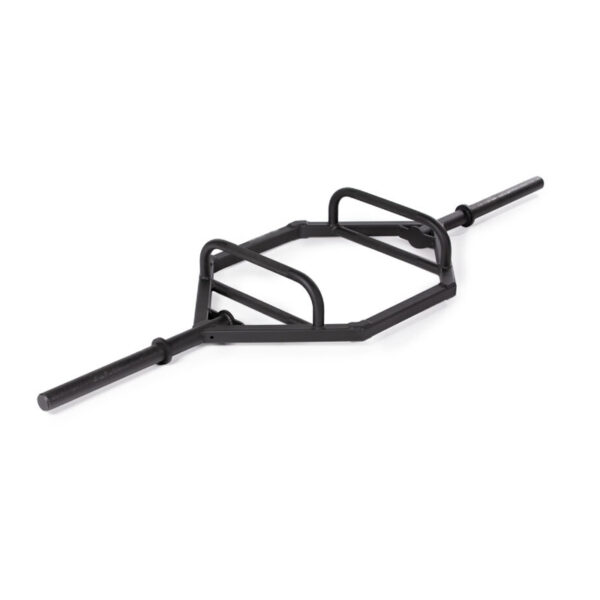 Hex Trap Bar Salmon Fitness
