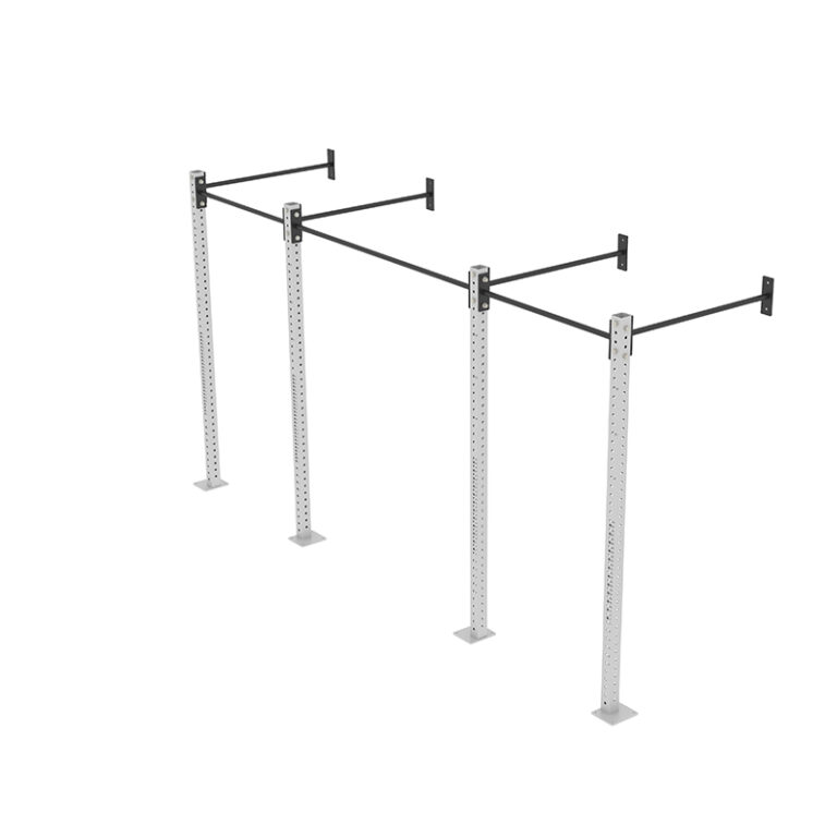 2 Inch Lean Rig Wall mounted 2-bay rig - Salmon Fitness